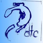 Sketch of the tail-less lizard