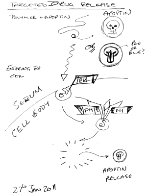 Sketch design for final stage of drug release feature.