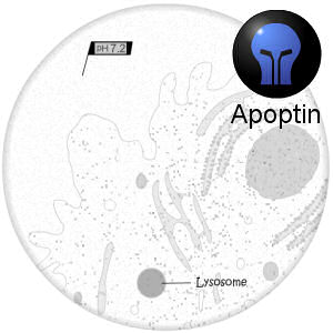 Still from targeted drug release feature, with apoptin icon inset.