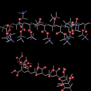 Polyelectrolyte chains for smart adhesion.